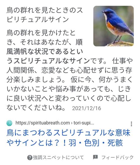 死鳥風水|鳥のスピリチュアルな意味やサイン 